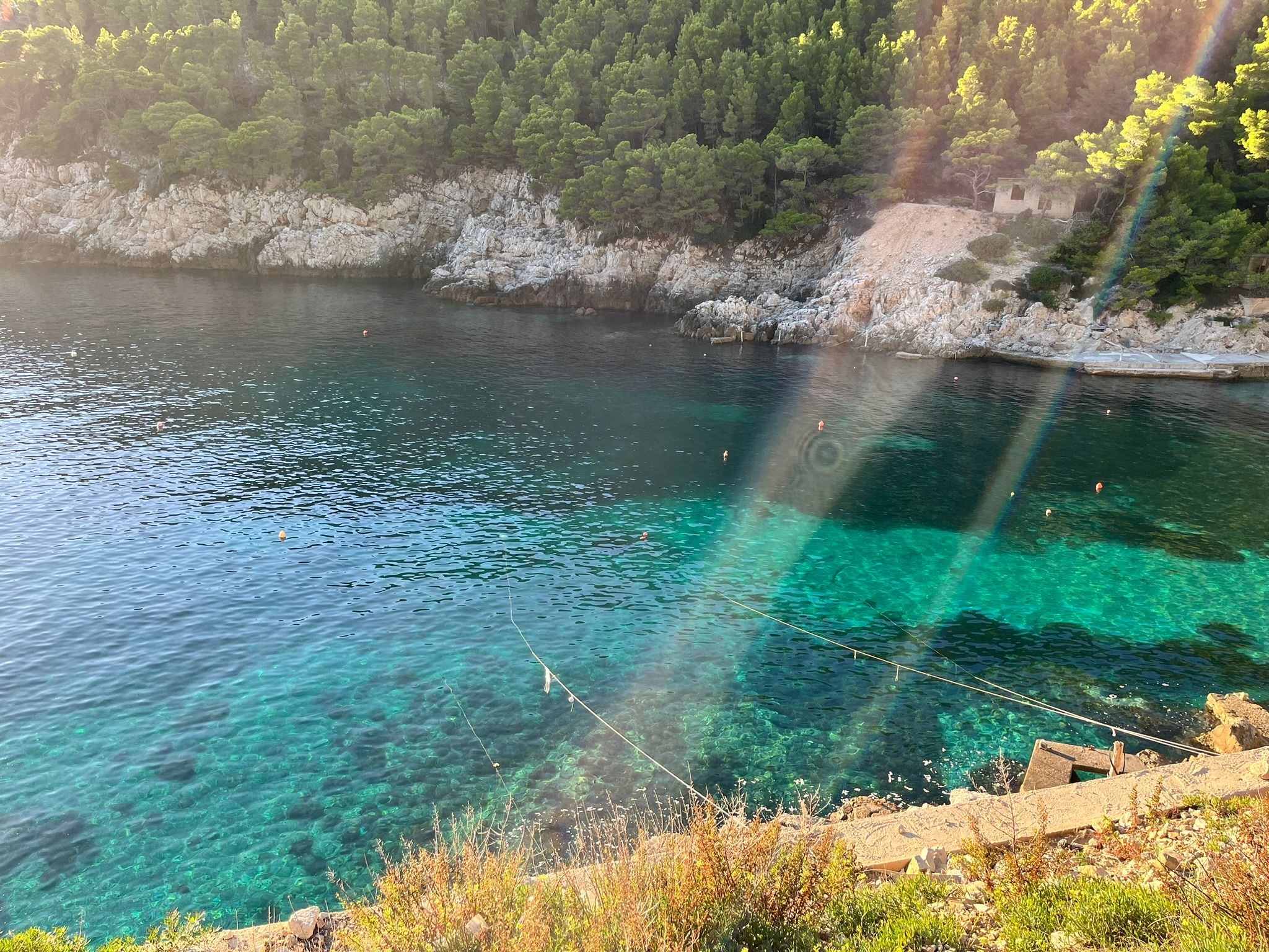 Une crique isolée au bord de l'eau, sur une île
