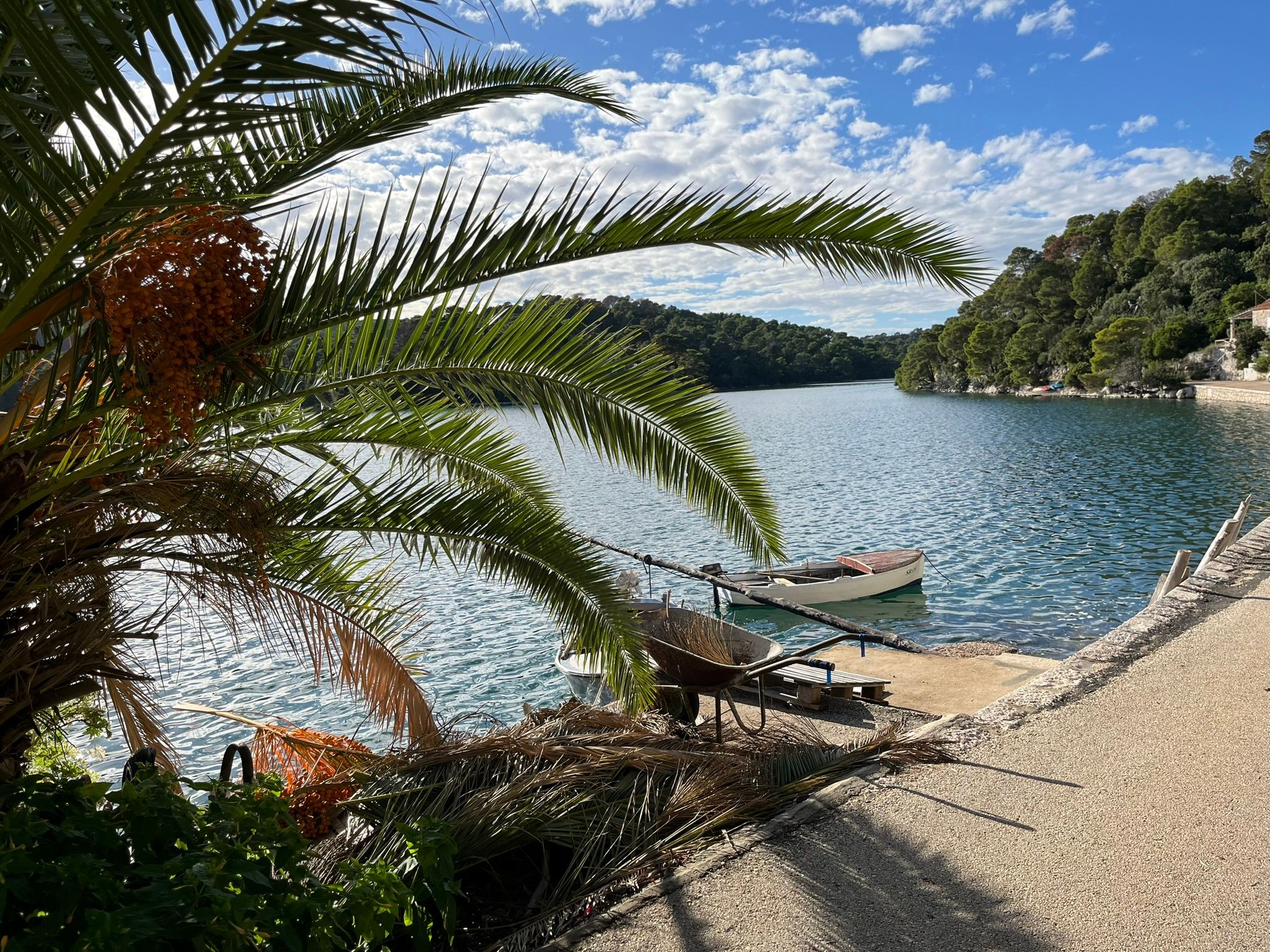 Un lagon calme entouré de nature