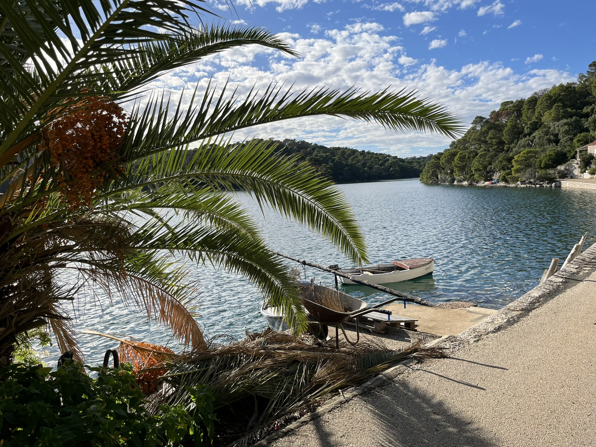 O lagună liniștită, înconjurată de natură
